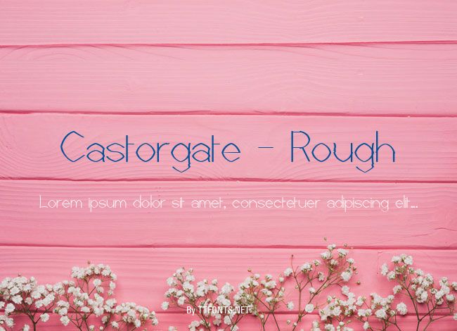 Castorgate - Rough example